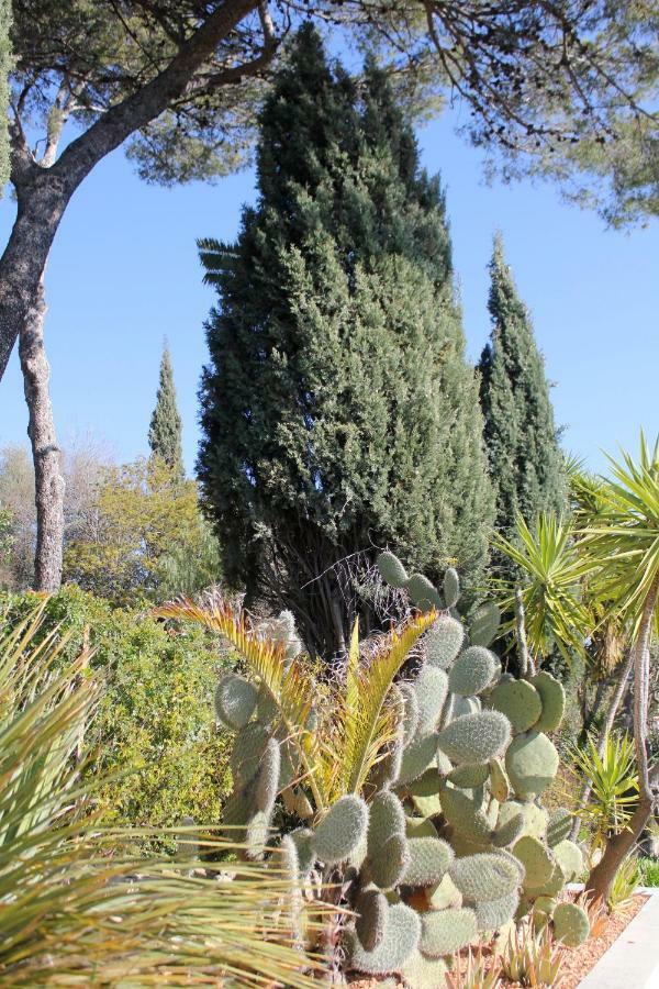 StellaHome - La petite cour Sanary-sur-Mer Extérieur photo